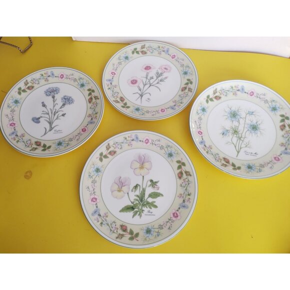 Aynsley Bone China collectors plates set Flowers From the Gardens of Old England - Picture 8 of 16